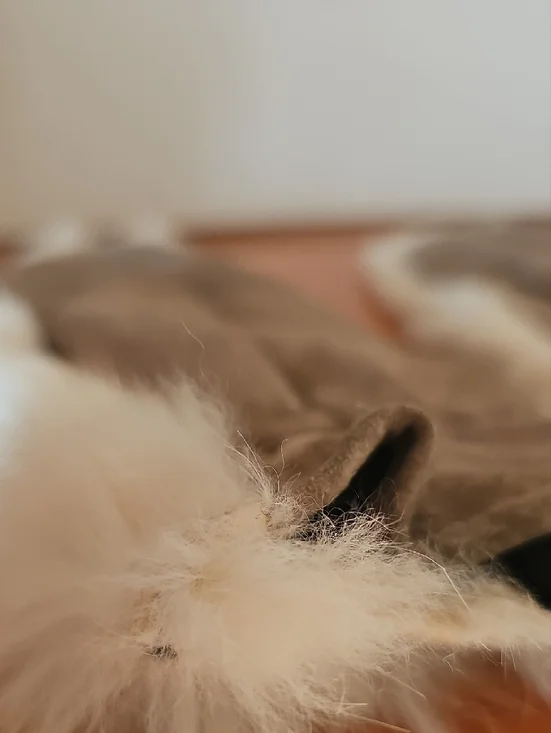 Vintage Rabbit Fur Mittens - Picture 3 of 10